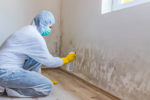 Best Residential Mold Inspection & Testing  in Bridgewater Center, NJ
