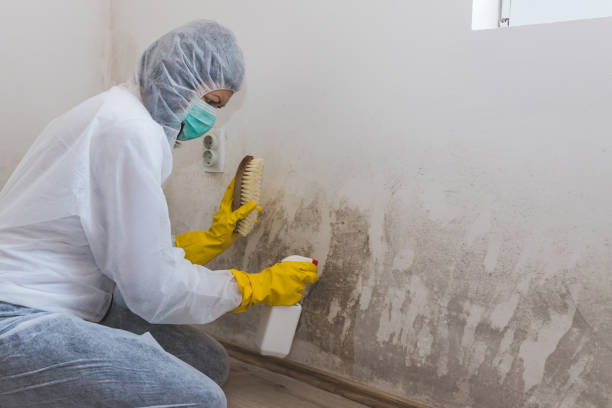 Best Emergency Mold Remediation  in Bridgewater Center, NJ