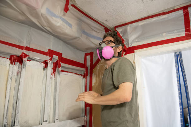 Best Asbestos and Lead Testing During Mold Inspection  in Bridgewater Center, NJ