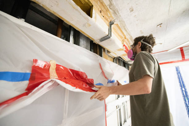 Best Basement Mold Removal  in Bridgewater Center, NJ