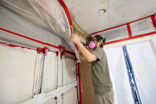 Best Comprehensive Air Testing for Mold Contaminants  in Bridgewater Center, NJ