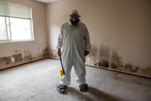 Best HVAC Mold Inspection and Cleaning  in Bridgewater Center, NJ